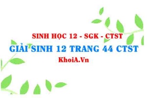 Giải Sinh 12 trang 44 Chân trời Sáng tạo